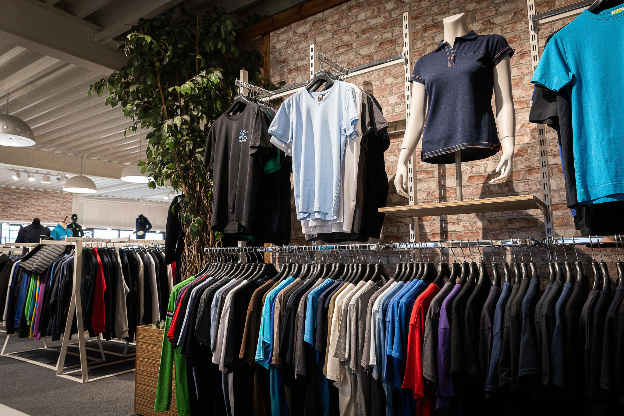 Copy Of MG 6483